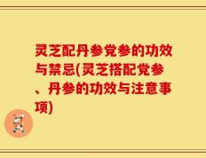 灵芝配丹参党参的功效与禁忌(灵芝搭配党参、丹参的功效与注意事项)