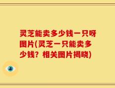 灵芝能卖多少钱一只呀图片(灵芝一只能卖多少钱？相关图片揭晓)
