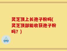 灵芝顶上长孢子粉吗(灵芝顶部能收获孢子粉吗？)