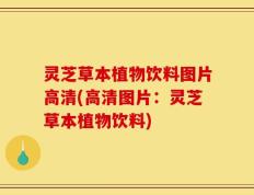 灵芝草本植物饮料图片高清(高清图片：灵芝草本植物饮料)