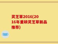 灵芝草2016(2016年重磅灵芝草新品推荐)