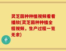 灵芝茵种种植视频看看播放(灵芝茵种种植全程视频，生产过程一览无余)