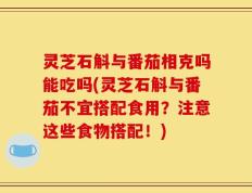灵芝石斛与番茄相克吗能吃吗(灵芝石斛与番茄不宜搭配食用？注意这些食物搭配！)