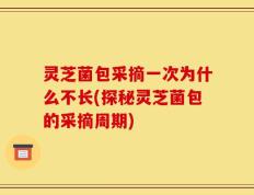 灵芝菌包采摘一次为什么不长(探秘灵芝菌包的采摘周期)