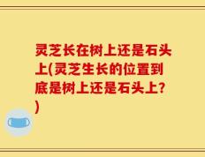 灵芝长在树上还是石头上(灵芝生长的位置到底是树上还是石头上？)