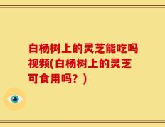 白杨树上的灵芝能吃吗视频(白杨树上的灵芝可食用吗？)