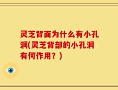 灵芝背面为什么有小孔洞(灵芝背部的小孔洞有何作用？)