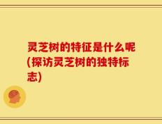 灵芝树的特征是什么呢(探访灵芝树的独特标志)