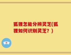 狐狸怎能分辨灵芝(狐狸如何识别灵芝？)