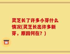 灵芝长了许多小芽什么情况(灵芝长出许多新芽，原因何在？)