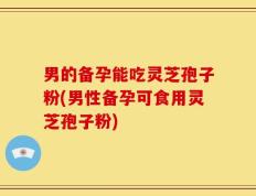 男的备孕能吃灵芝孢子粉(男性备孕可食用灵芝孢子粉)