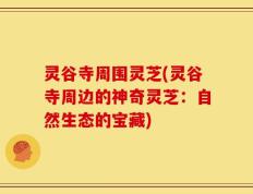 灵谷寺周围灵芝(灵谷寺周边的神奇灵芝：自然生态的宝藏)