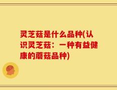 灵芝菇是什么品种(认识灵芝菇：一种有益健康的蘑菇品种)