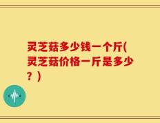 灵芝菇多少钱一个斤(灵芝菇价格一斤是多少？)