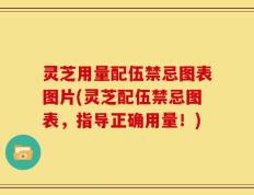 灵芝用量配伍禁忌图表图片(灵芝配伍禁忌图表，指导正确用量！)