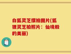 白狐灵芝摆拍图片(狐狸灵芝拍照片：仙境般的美丽)