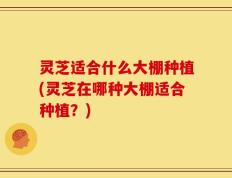 灵芝适合什么大棚种植(灵芝在哪种大棚适合种植？)