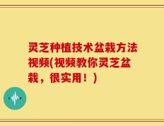 灵芝种植技术盆栽方法视频(视频教你灵芝盆栽，很实用！)