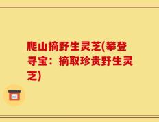 爬山摘野生灵芝(攀登寻宝：摘取珍贵野生灵芝)