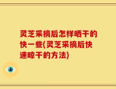 灵芝采摘后怎样晒干的快一些(灵芝采摘后快速晾干的方法)