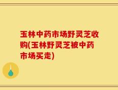 玉林中药市场野灵芝收购(玉林野灵芝被中药市场买走)