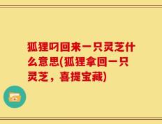 狐狸叼回来一只灵芝什么意思(狐狸拿回一只灵芝，喜提宝藏)