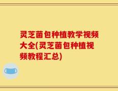 灵芝菌包种植教学视频大全(灵芝菌包种植视频教程汇总)