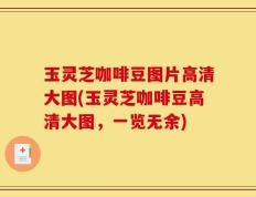 玉灵芝咖啡豆图片高清大图(玉灵芝咖啡豆高清大图，一览无余)