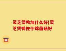 灵芝煲鸭加什么好(灵芝煲鸭佐什锦菌菇好