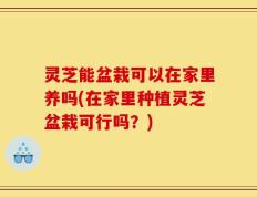 灵芝能盆栽可以在家里养吗(在家里种植灵芝盆栽可行吗？)
