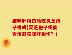 猫咪肝损伤能吃灵芝孢子粉吗(灵芝孢子粉能否治愈猫咪肝损伤？)