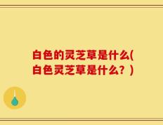 白色的灵芝草是什么(白色灵芝草是什么？)