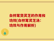 白桦茸煲灵芝的作用和功效(白桦茸灵芝汤：功效与作用解析)