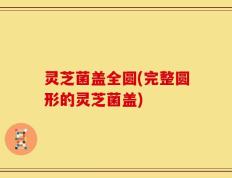 灵芝菌盖全圆(完整圆形的灵芝菌盖)