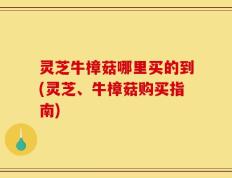 灵芝牛樟菇哪里买的到(灵芝、牛樟菇购买指南)