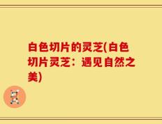 白色切片的灵芝(白色切片灵芝：遇见自然之美)