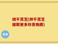 烧干灵芝(烘干灵芝 提取更多珍贵物质)