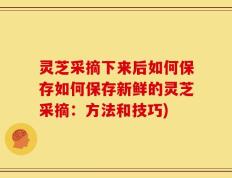灵芝采摘下来后如何保存如何保存新鲜的灵芝采摘：方法和技巧)