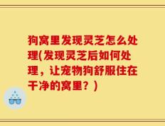 狗窝里发现灵芝怎么处理(发现灵芝后如何处理，让宠物狗舒服住在干净的窝里？)