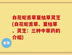 白花蛇舌草夏枯草灵芝(白花蛇舌草、夏枯草、灵芝：三种中草药的介绍)