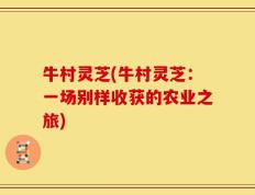 牛村灵芝(牛村灵芝：一场别样收获的农业之旅)