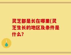 灵芝都是长在哪里(灵芝生长的地区及条件是什么？
