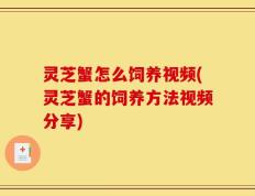灵芝蟹怎么饲养视频(灵芝蟹的饲养方法视频分享)