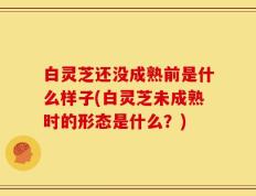 白灵芝还没成熟前是什么样子(白灵芝未成熟时的形态是什么？)