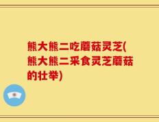 熊大熊二吃蘑菇灵芝(熊大熊二采食灵芝蘑菇的壮举)