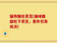猫传腹吃灵芝(猫咪腹部吃下灵芝，意外引发关注)