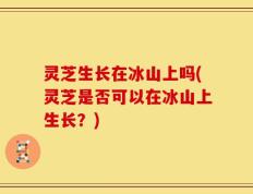 灵芝生长在冰山上吗(灵芝是否可以在冰山上生长？)