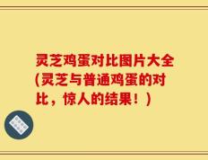 灵芝鸡蛋对比图片大全(灵芝与普通鸡蛋的对比，惊人的结果！)