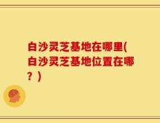 白沙灵芝基地在哪里(白沙灵芝基地位置在哪？)