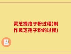 灵芝提孢子粉过程(制作灵芝孢子粉的过程)